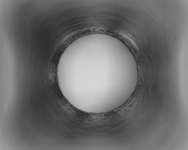 X0000111501015200907141039