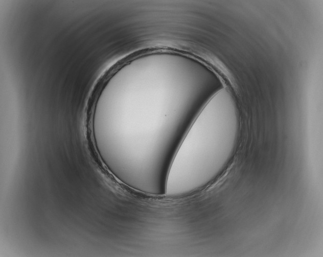 X0000111501020200907141039