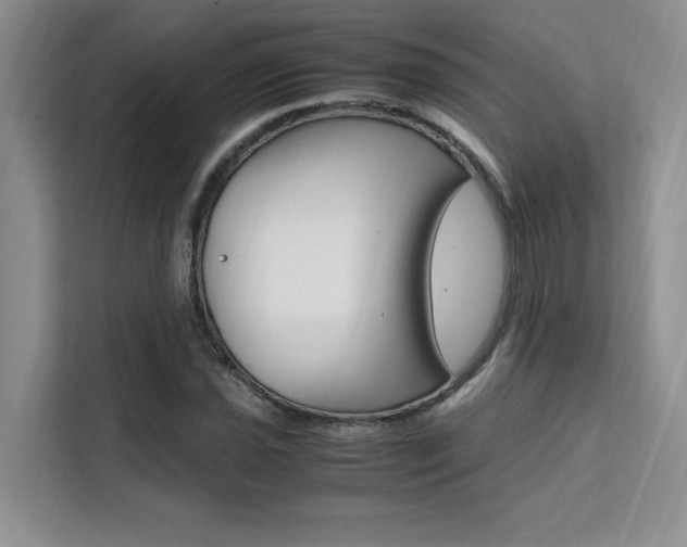 X0000111501021200907141039