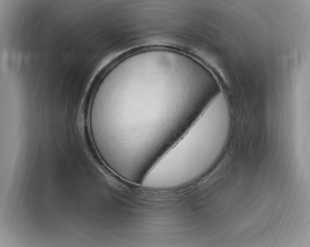 X0000111501024200907141039