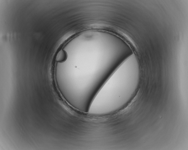 X0000111501026200907141039