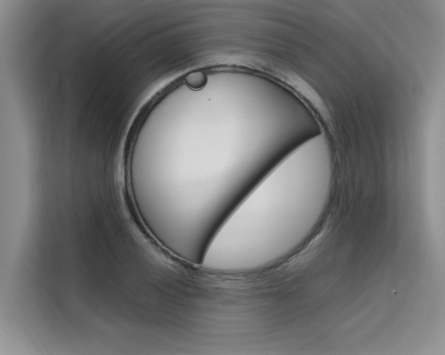 X0000111501028200907141039