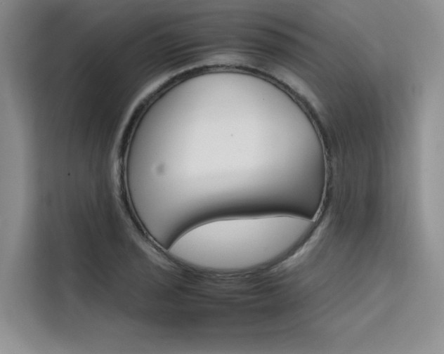 X0000111501029200907141039