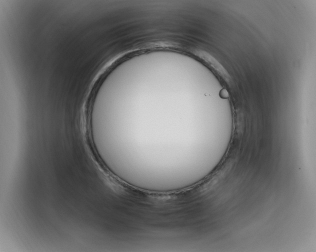 X0000111501031200907141039