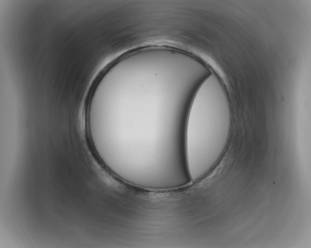 X0000111501032200907141039