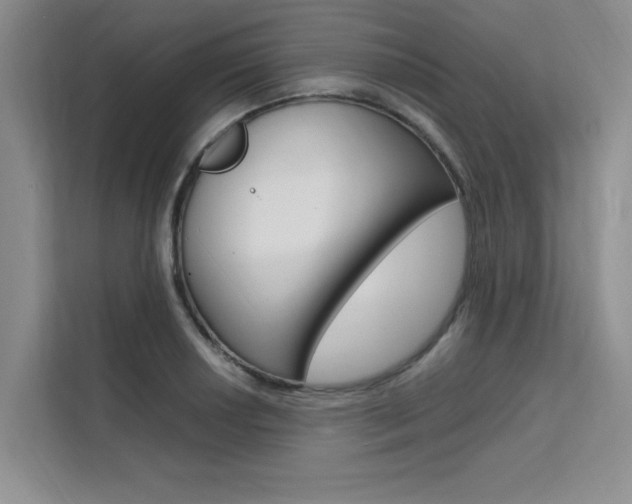 X0000111501034200907141039