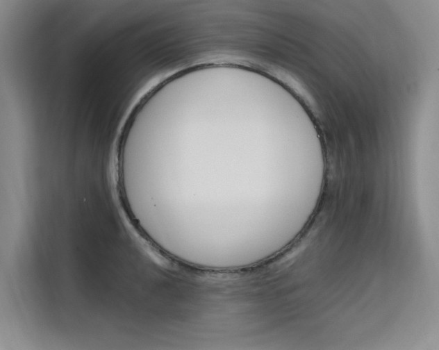 X0000111501040200907141039