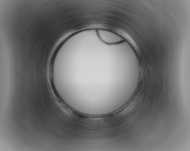 X0000111501043200907141039