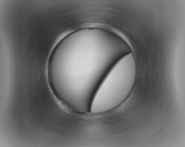 X0000111501050200907141040