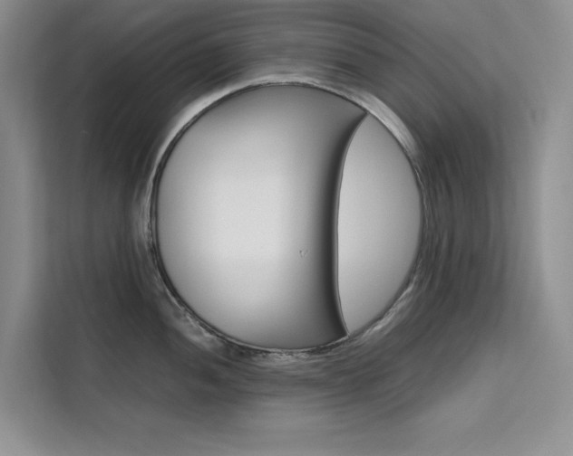 X0000111501052200907141040