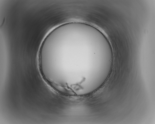 X0000111501056200907141040