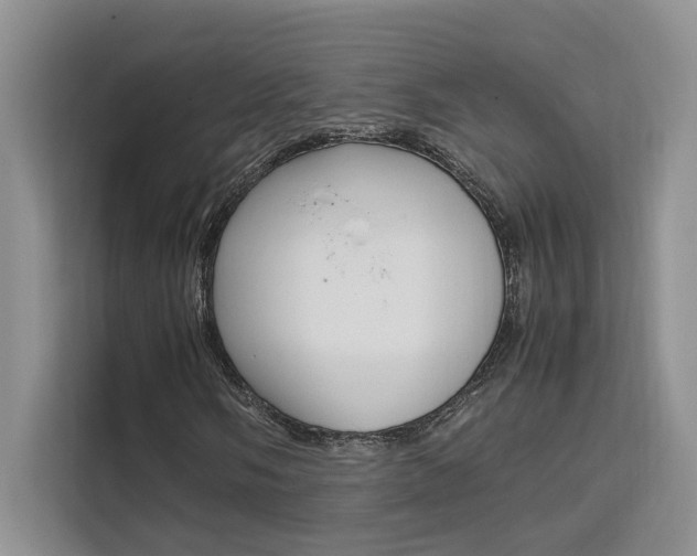 X0000111501058200907141039