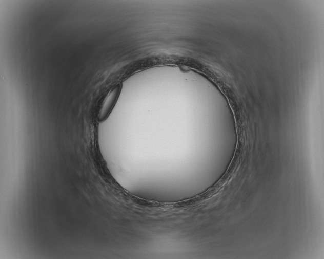 X0000111501061200907141039
