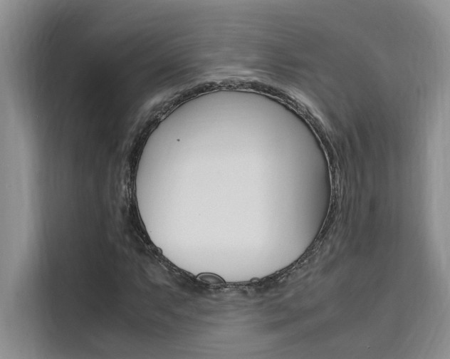 X0000111501063200907141039