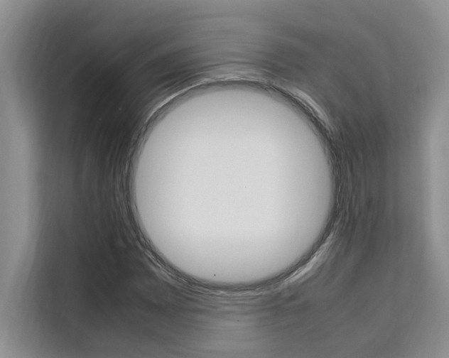 X0000111501065200907141039