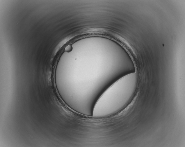 X0000111501066200907141039