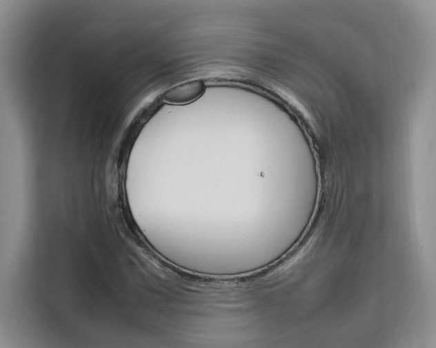 X0000111501067200907141039
