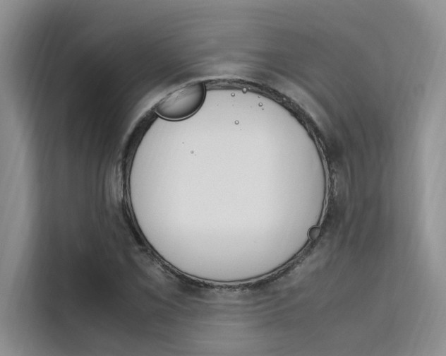 X0000111501069200907141039
