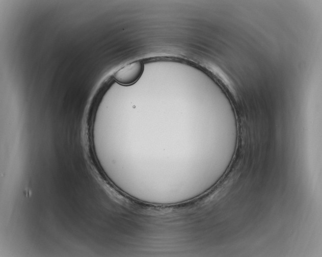 X0000111501072200907141039