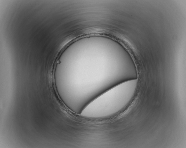 X0000111501073200907141039