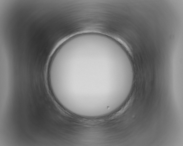 X0000111501077200907141039