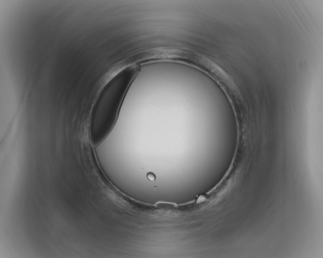 X0000111501081200907141039