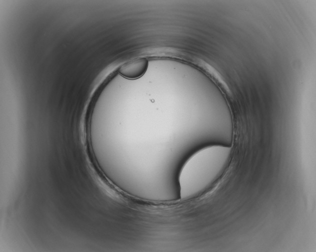 X0000111501082200907141039