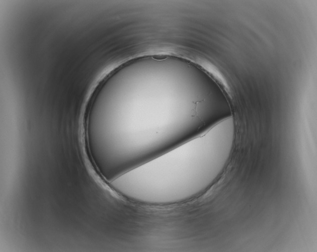 X0000111501088200907141039
