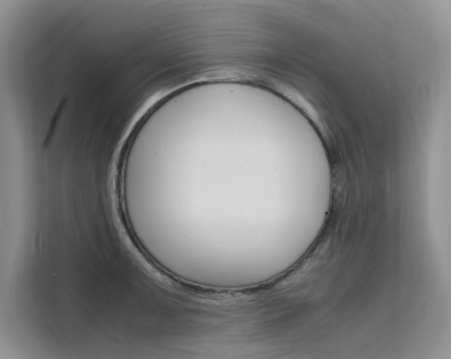 X0000111501091200907141039