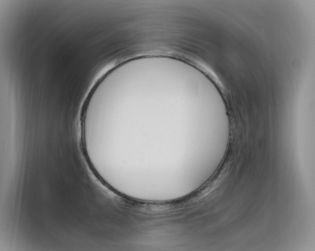 X0000111501095200907141039
