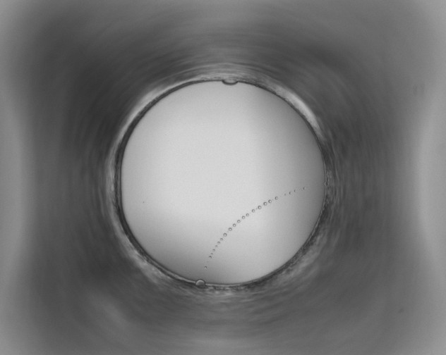 X0000111501099200907141038