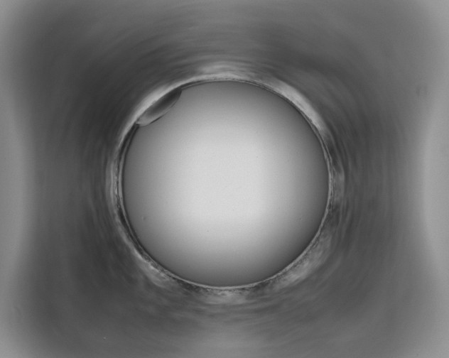 X0000111501101200907141038