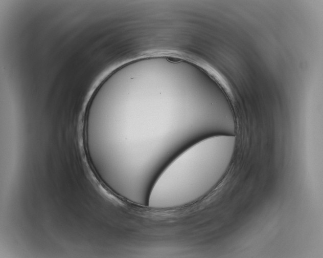 X0000111501102200907141038