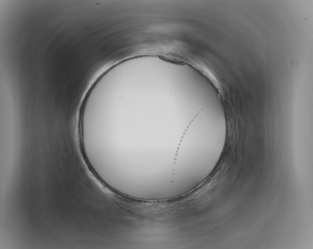 X0000111501103200907141038