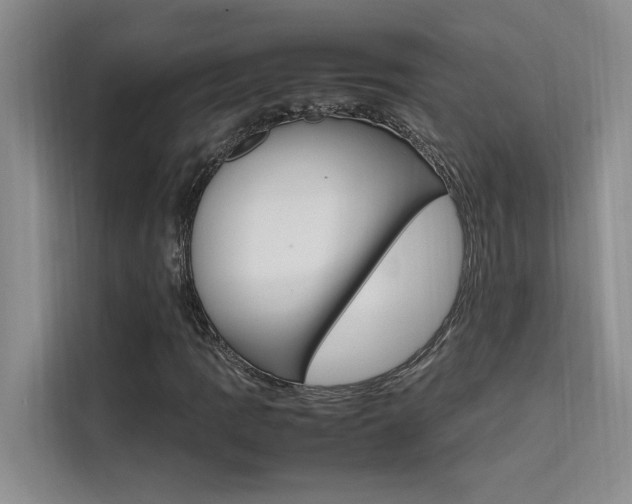 X0000111501109200907141038