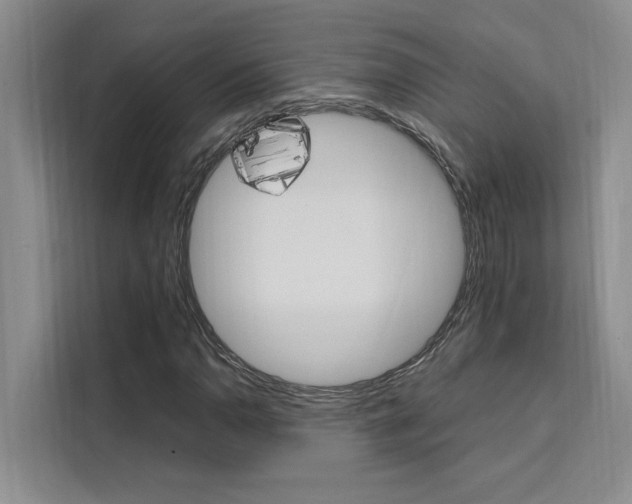 X0000111501110200907141038