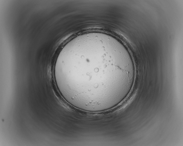 X0000111501113200907141038