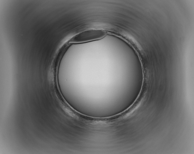 X0000111501114200907141038