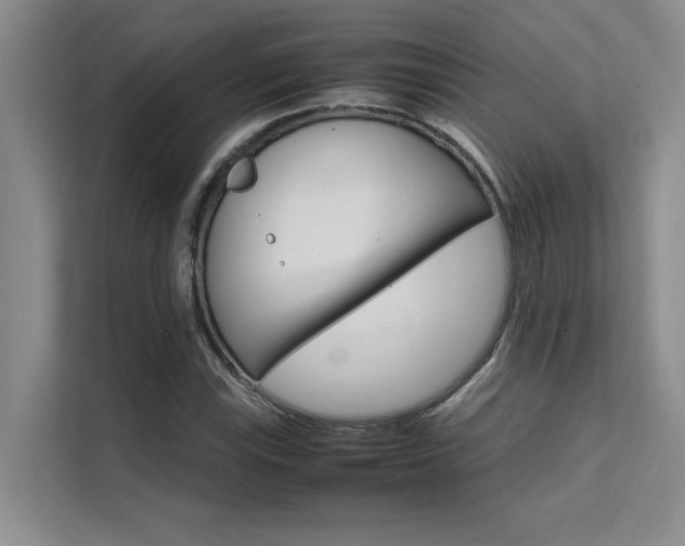 X0000111501115200907141038