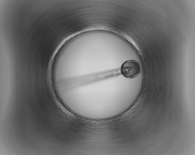 X0000111501116200907141038