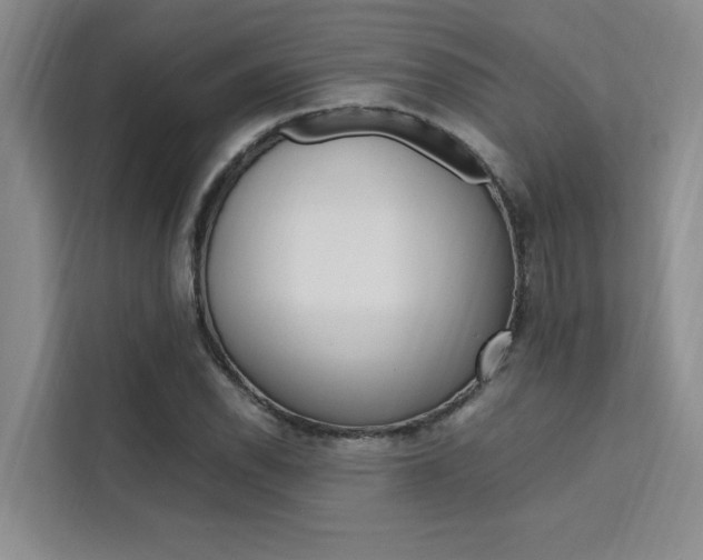 X0000111501118200907141038