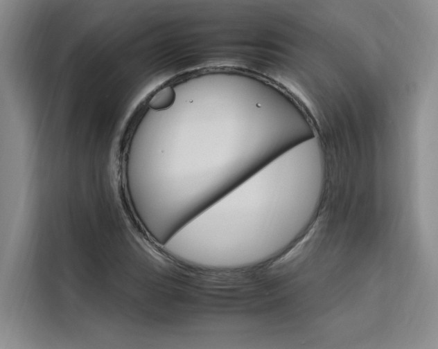 X0000111501119200907141038
