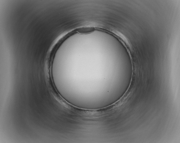 X0000111501120200907141038