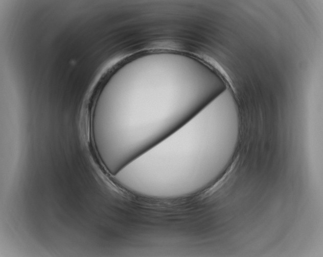 X0000111501123200907141038