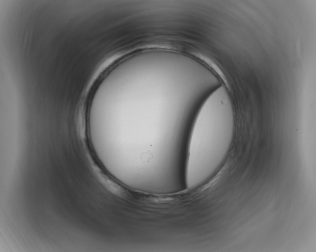 X0000111501131200907141038