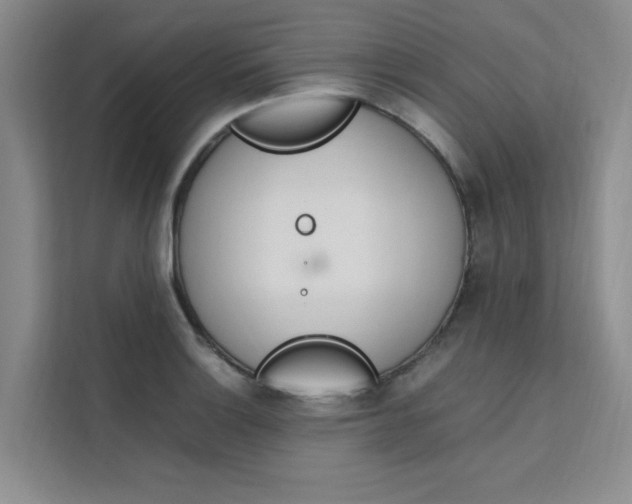 X0000111501132200907141038