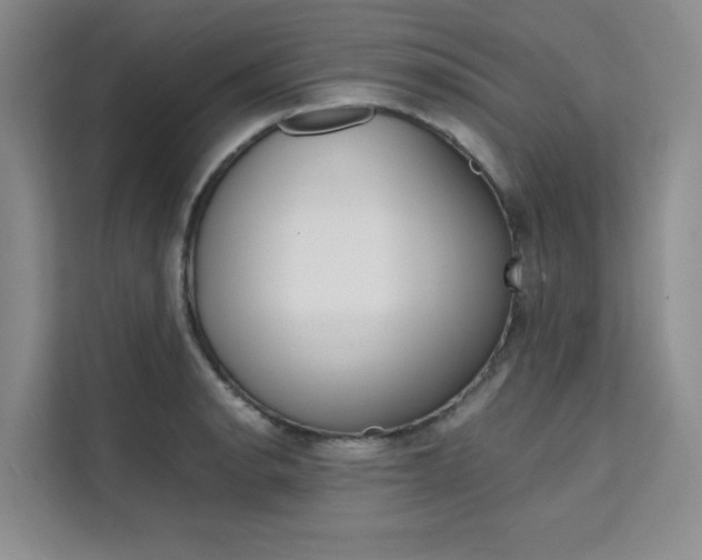 X0000111501134200907141038