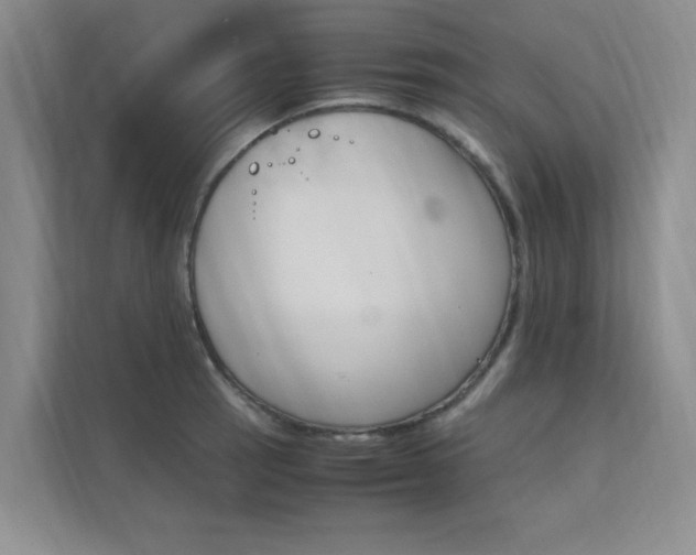 X0000111501137200907141038