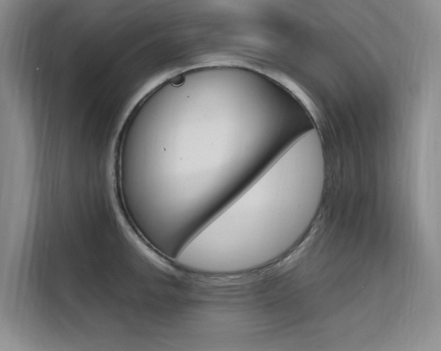 X0000111501142200907141038