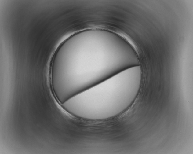 X0000111501143200907141038